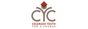 cyc nonprofit software consulting